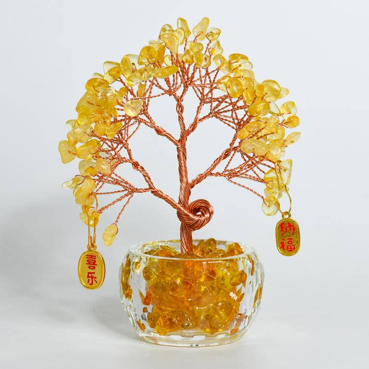 Wealth in Bloom – Feng Shui Money Tree in Clear Bowl